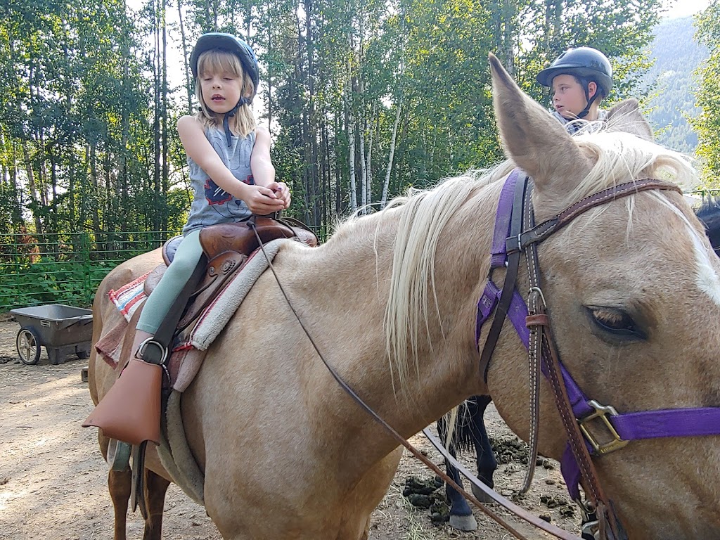 High Country Trail Rides | 1091 60 St NW, Salmon Arm, BC V1E 3B2, Canada | Phone: (250) 515-0667