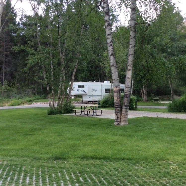 The Canyon RV Resort & Campground | 5012 Sinclair Creek Rd, Radium Hot Springs, BC V0A 1M0, Canada | Phone: (250) 347-9564