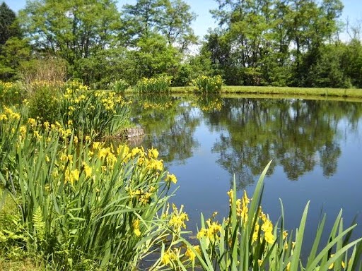 Whispering Pines Fish Farm | 11829 Matteson Corners Rd, Holland, NY 14080, USA | Phone: (716) 496-7440