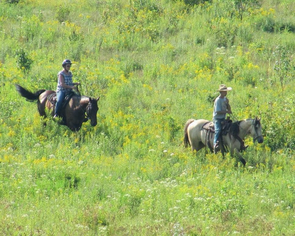 Winding Fences Farm | 1102 Ambleside Ln, Utterson, ON P0B 1M0, Canada | Phone: (705) 769-1418