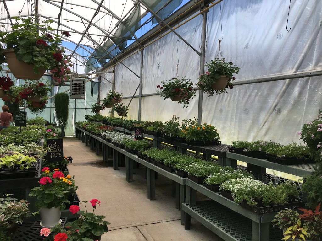 Summerland Greenhouses Ltd | 6711 Canyon View Rd, Summerland, BC V0H 1Z7, Canada | Phone: (250) 494-9441