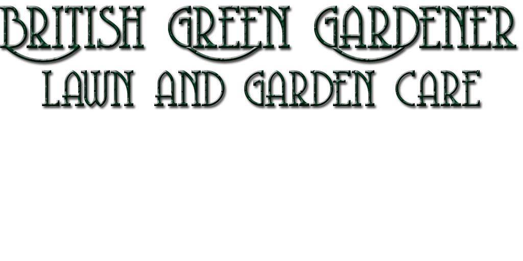 British Green Gardener | #46, Brampton, ON L6T 1V1, Canada | Phone: (647) 527-8808