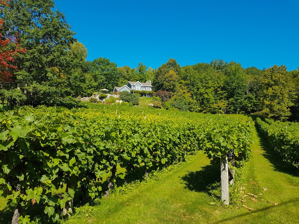 Vignoble Les Murmures | 2750 Rue Noiseux, Saint-Jean-Baptiste, QC J0L 2B0, Canada | Phone: (450) 467-1730