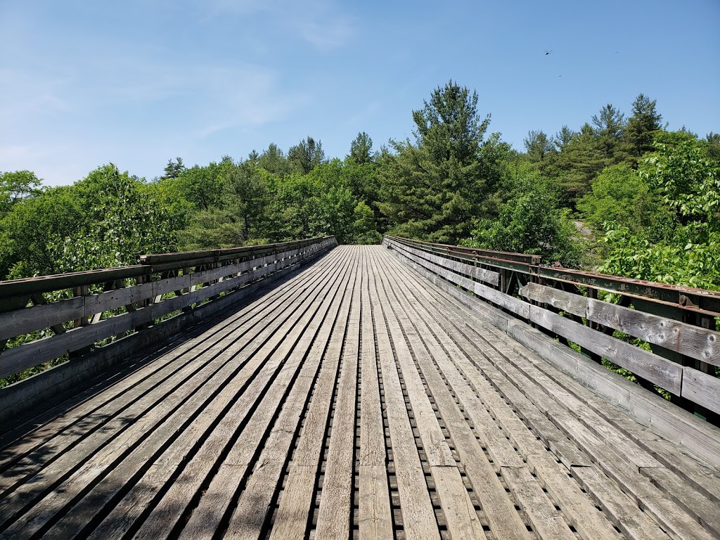 McCrae Lake Bridge & Waterfalls | McCrae Lake Trail, Georgian Bay, ON P0C, Canada