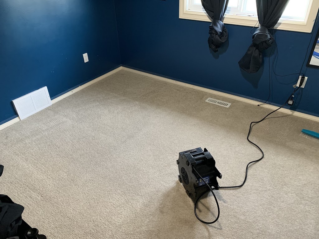 Dirt Army Carpet Cleaning | 2828 20 Ave NW, Edmonton, AB T6T 0L9, Canada | Phone: (780) 278-0133