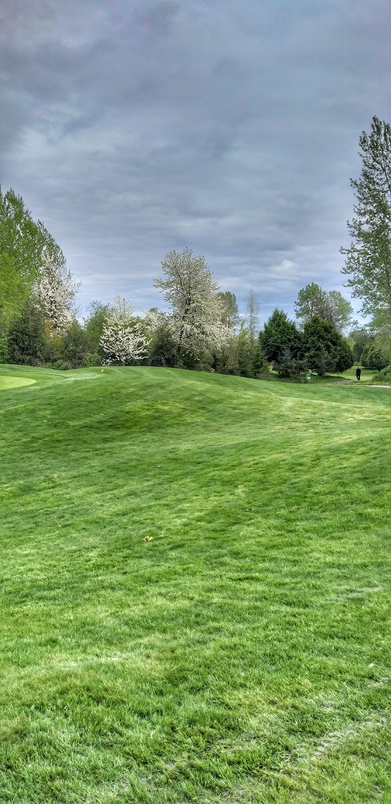 Langara Golf Course Maintenance | 7390 Columbia St, Vancouver, BC V5X 4V8, Canada | Phone: (604) 257-8350