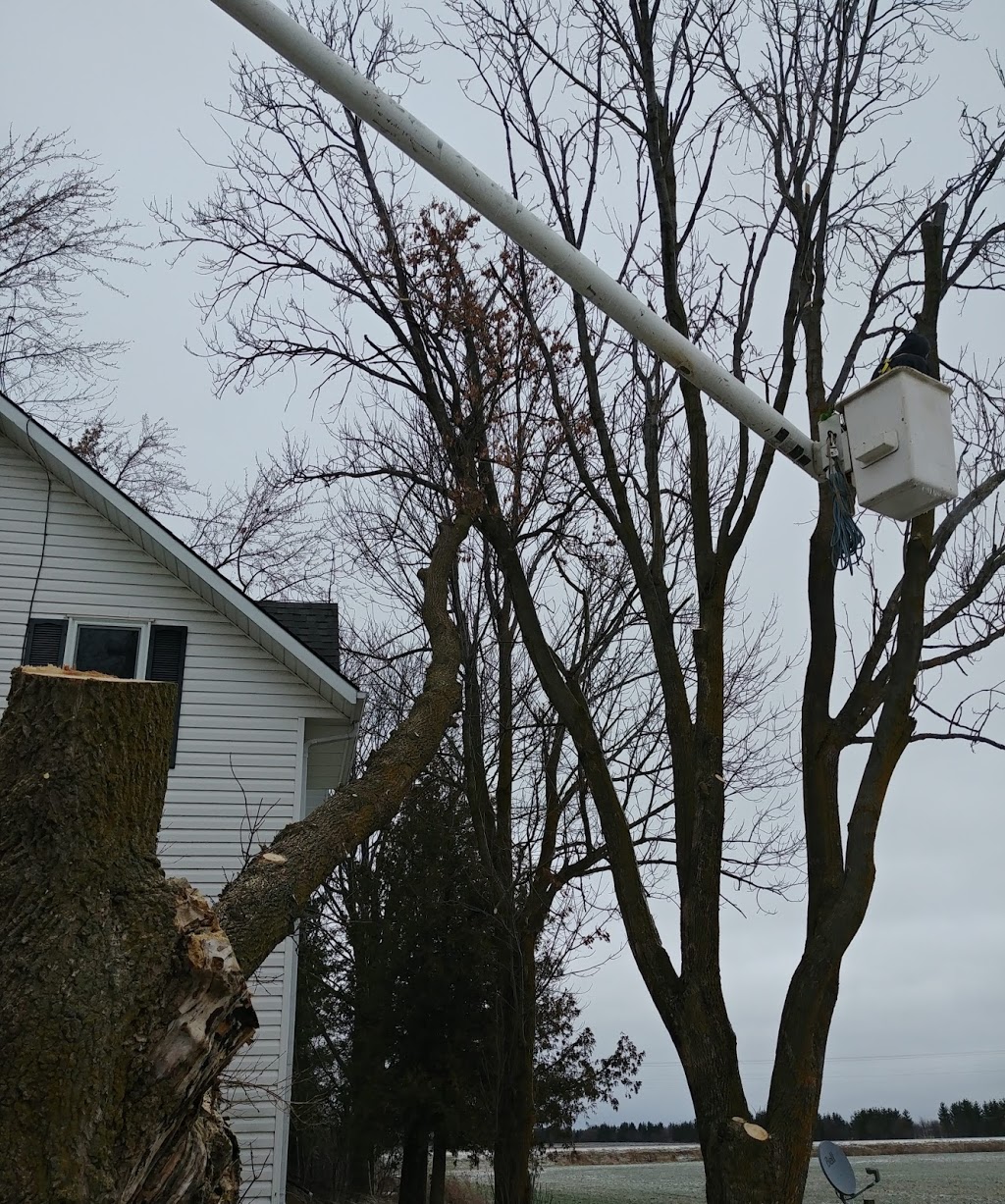 Lakeshore Tree Service | 191 Scotts Point Rd, Tiverton, ON N0G 2T0, Canada | Phone: (519) 368-7893