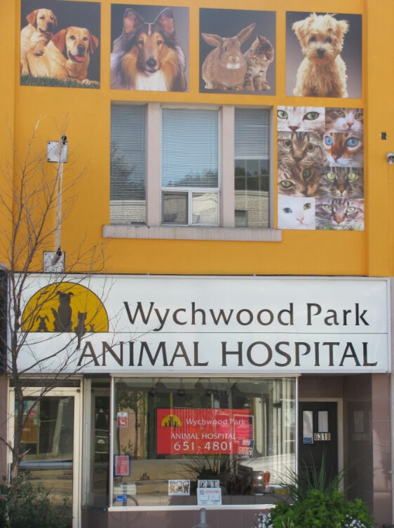 Wychwood Park Animal Hospital | 631 St Clair Ave W, Toronto, ON M6C 1A7, Canada | Phone: (416) 651-4801