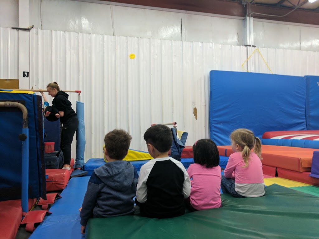 Aspire Gymnastics | 183 S Service Rd Unit 3, Grimsby, ON L3M 4H6, Canada | Phone: (289) 442-8286