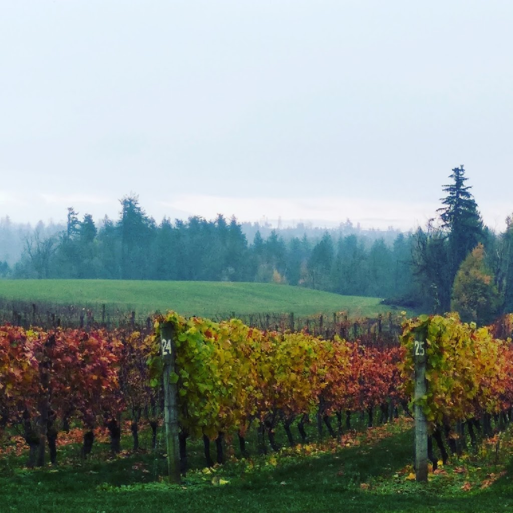 Mt Lehman Winery | 5094 Mount Lehman Rd, Abbotsford, BC V4X 1Y3, Canada | Phone: (604) 746-2881