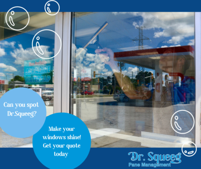 Dr.Squeeg | 273 Kensington Ave, Ingersoll, ON N5C 2B4, Canada | Phone: (226) 228-5546