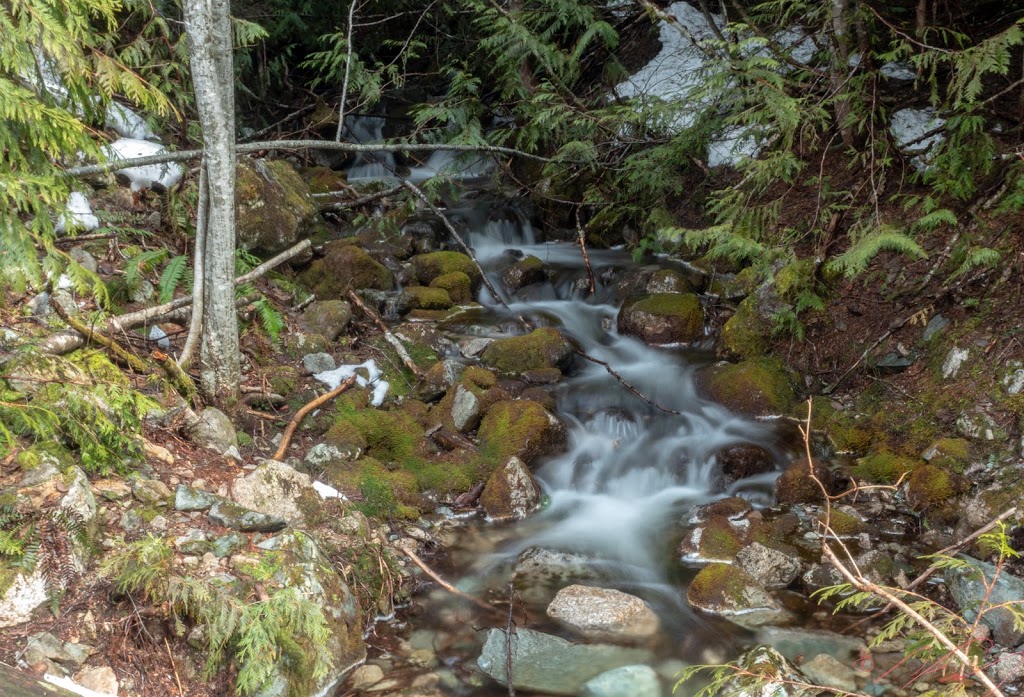 Shannon Basin Loop Trail | Lookback Trail, Britannia Beach, BC V0N 1J0, Canada