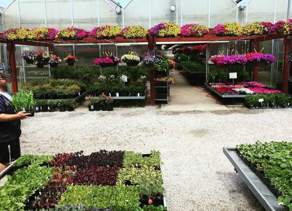 Arnolds Greenhouses | 9774 Winston Churchill Blvd, Norval, ON L0P 1K0, Canada | Phone: (905) 455-8382