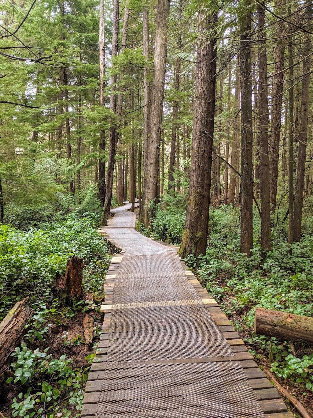 Burns Bog Delta Nature Reserve | 10388 Nordel Ct, Delta, BC V4G 1J9, Canada | Phone: (604) 520-6442