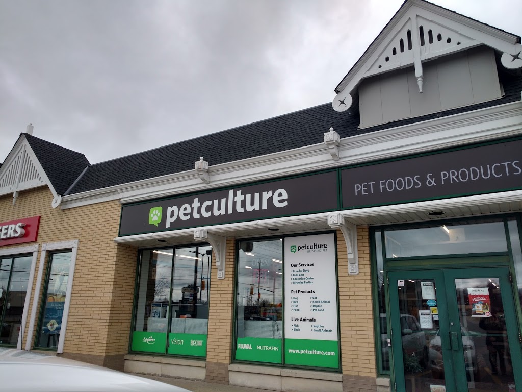 petculture | 492 Edinburgh Rd S, Guelph, ON N1G 4Z1, Canada | Phone: (519) 767-0901