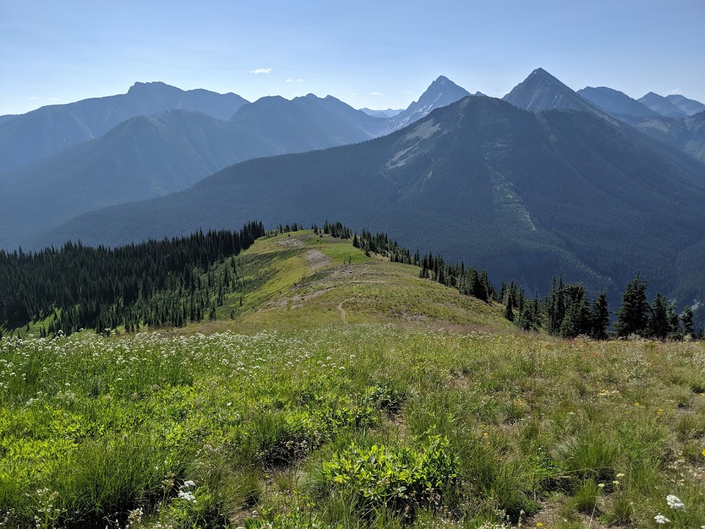 E. C. Manning Provincial Park | 7500 BC-3, Manning Park, BC V0X 1R0, Canada | Phone: (604) 668-5953