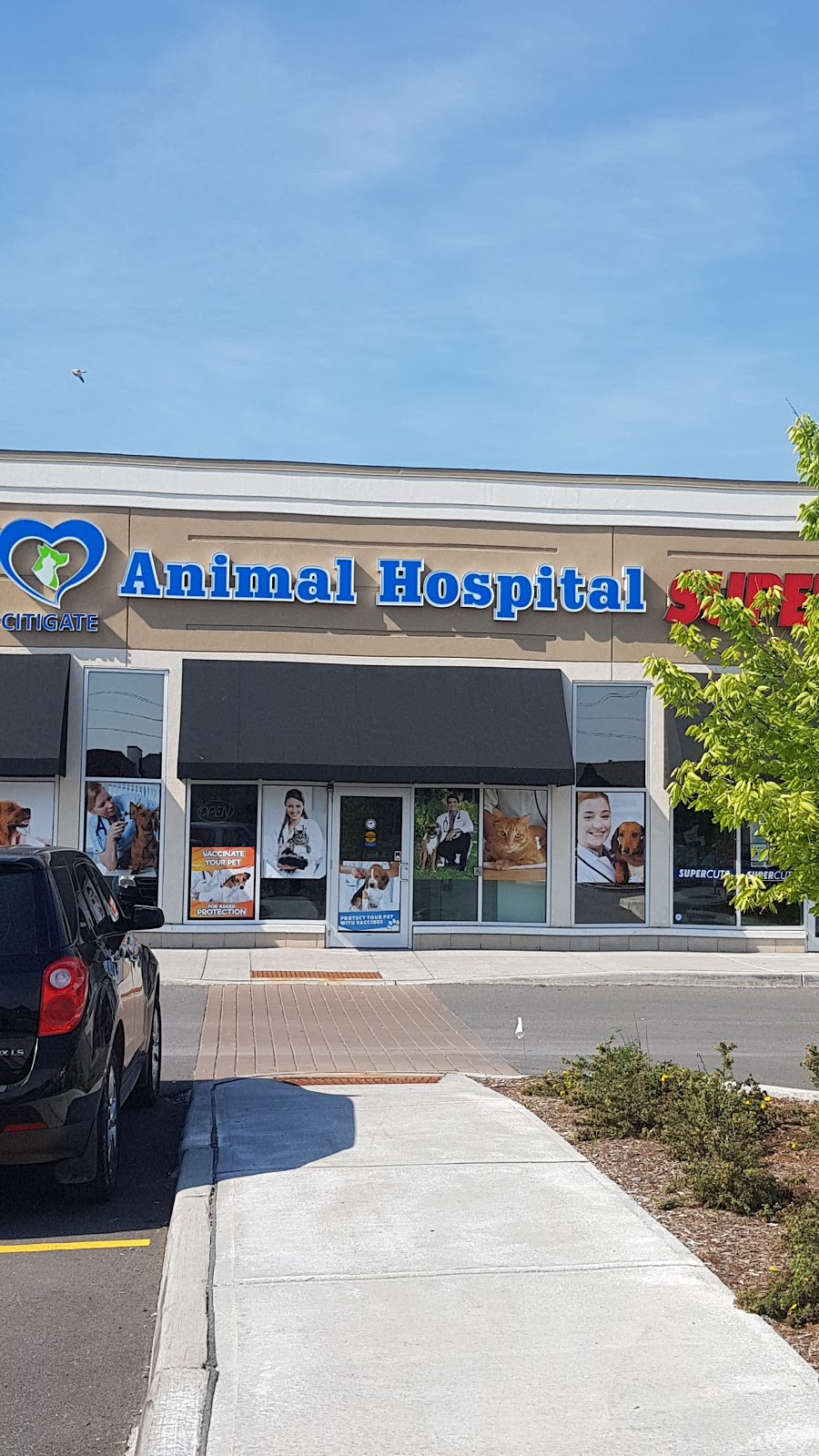 Citigate Animal Hospital | 4285 Strandherd Dr, Ottawa, ON - Unit 8, Ottawa, ON K2J 6E8, Canada | Phone: (613) 823-3444