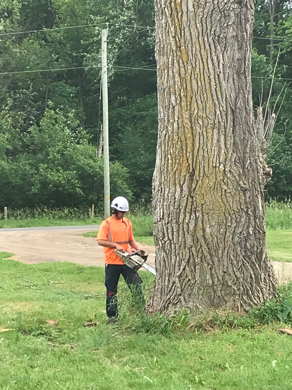 Remers Tree Service | 43889 Hullett McKillop Rd, Walton, ON N0K 1Z0, Canada | Phone: (519) 949-0407