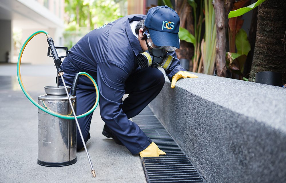 Pest Control Langley BC |Active bc,Pest Exterminators Ant ,Bed B | 22370 47a Ave, Langley City, BC V2Z 1M5, Canada | Phone: (778) 695-7777