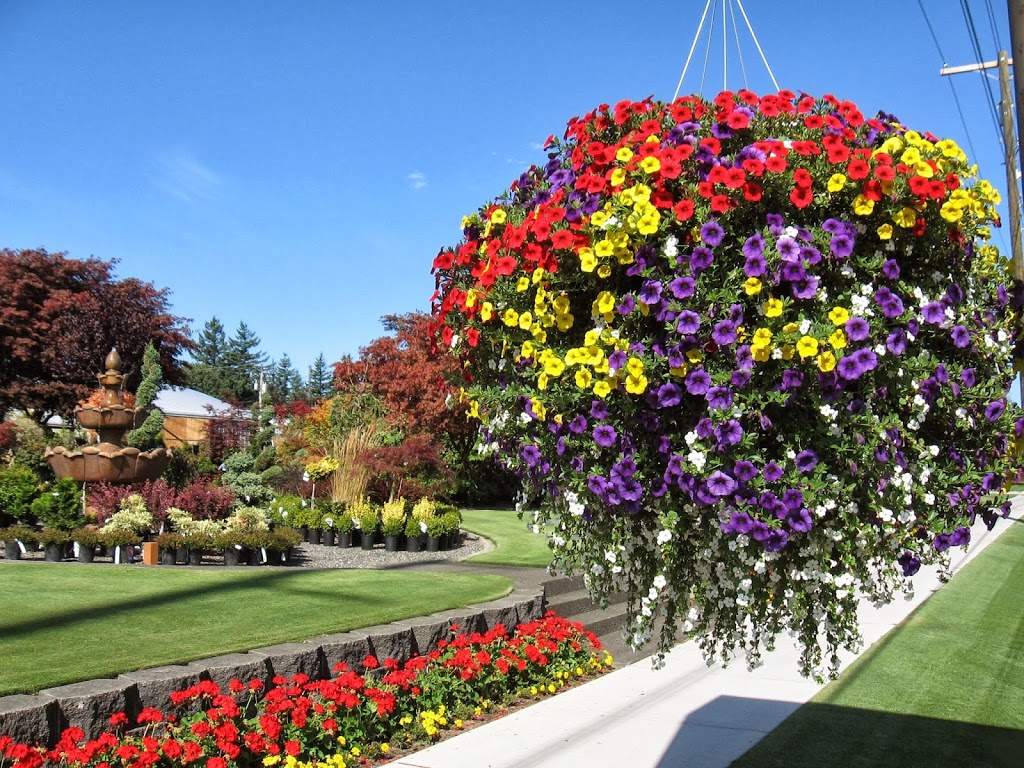 Vander Giessen Nursery | 401 E Grover St, Lynden, WA 98264, USA | Phone: (360) 354-3097