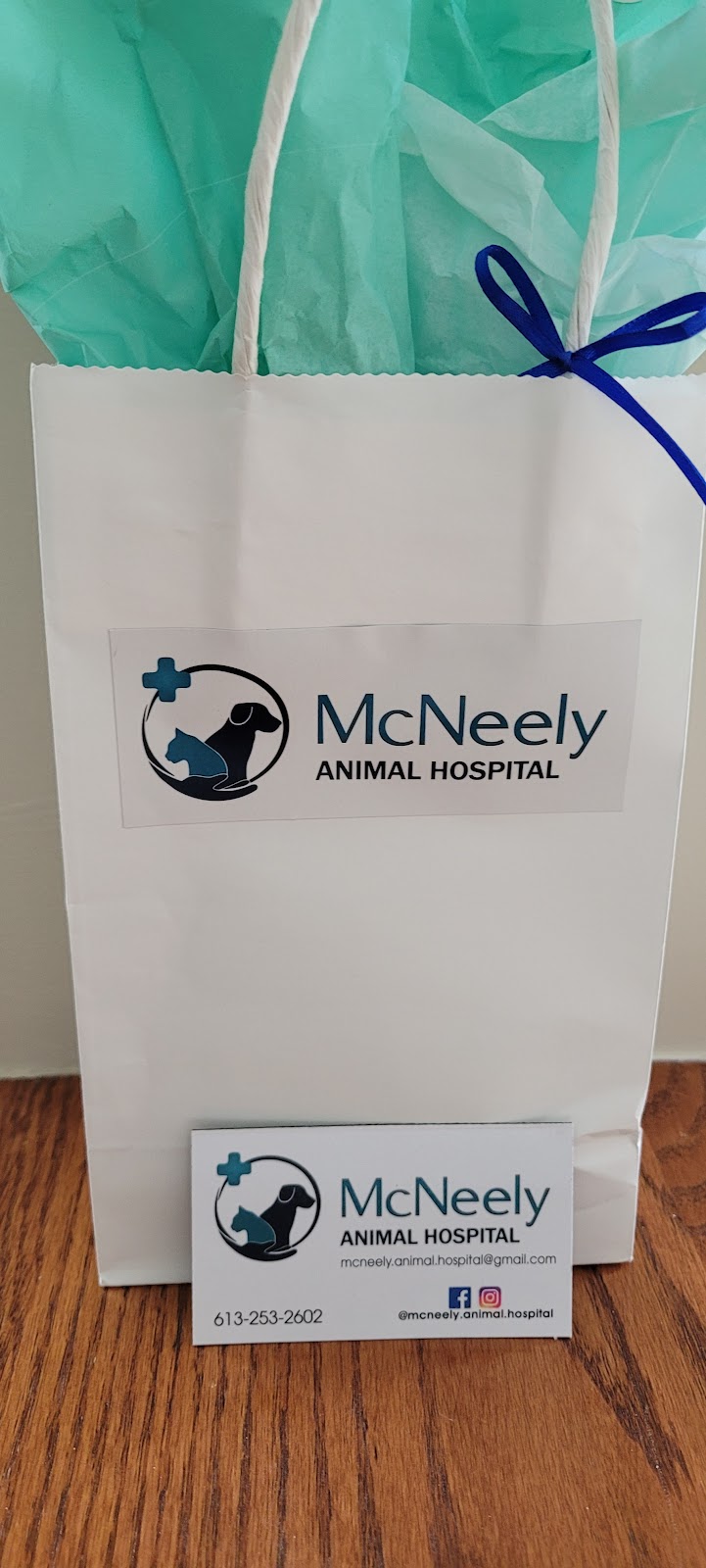 McNeely Animal Hospital | 320 Coleman St #3a, Carleton Place, ON K7C 0B5, Canada | Phone: (613) 253-2602