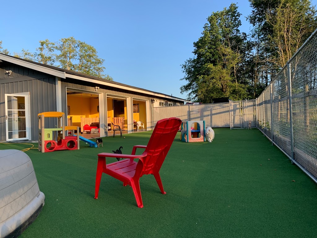 Adeles Doggie Daycare Countryside | 256 St, Langley Twp, BC V4W 2J9, Canada | Phone: (604) 996-9325