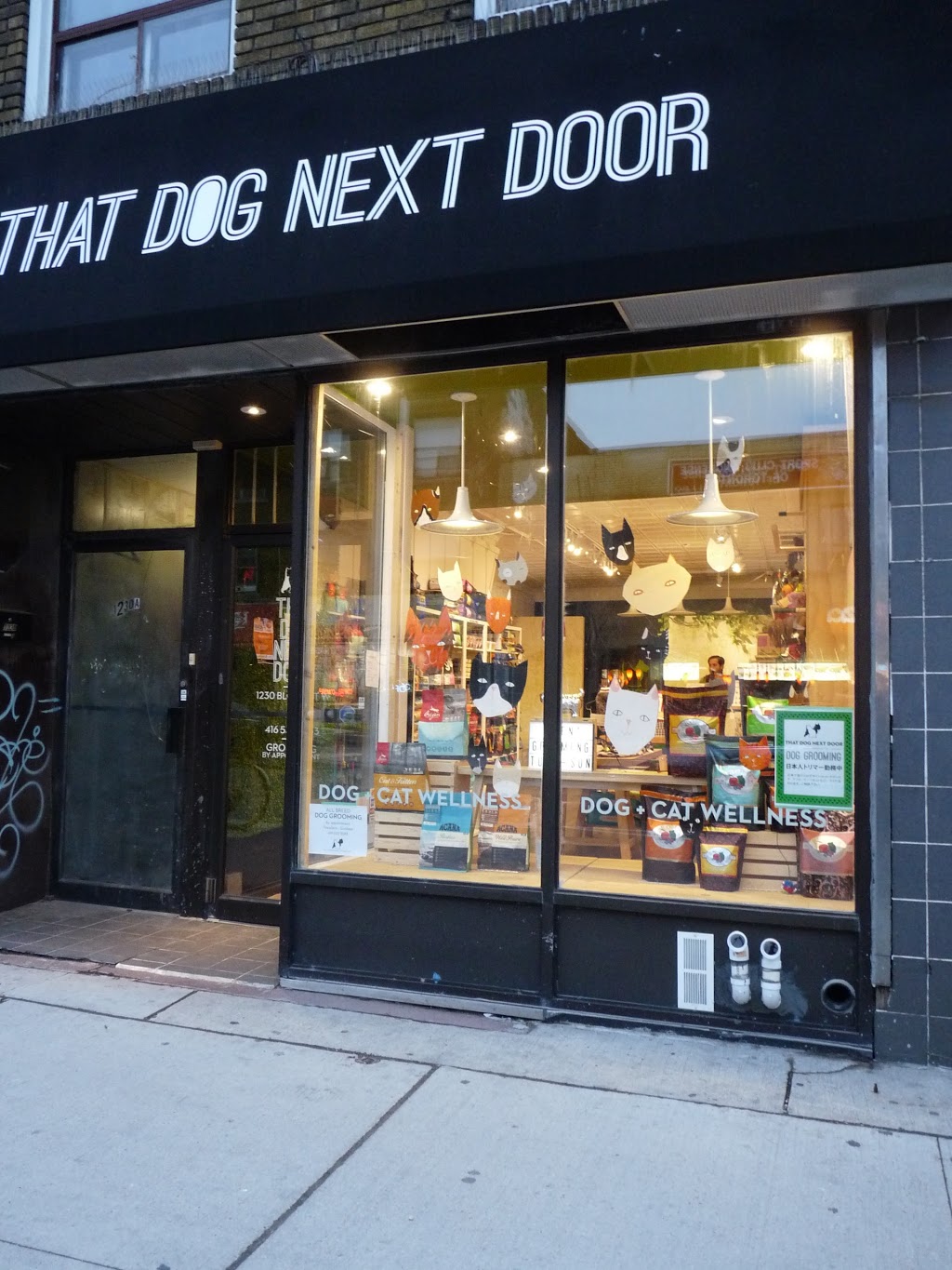 That Dog Next Door | 1230 Bloor St W, Toronto, ON M6H 1N3, Canada | Phone: (416) 533-8363