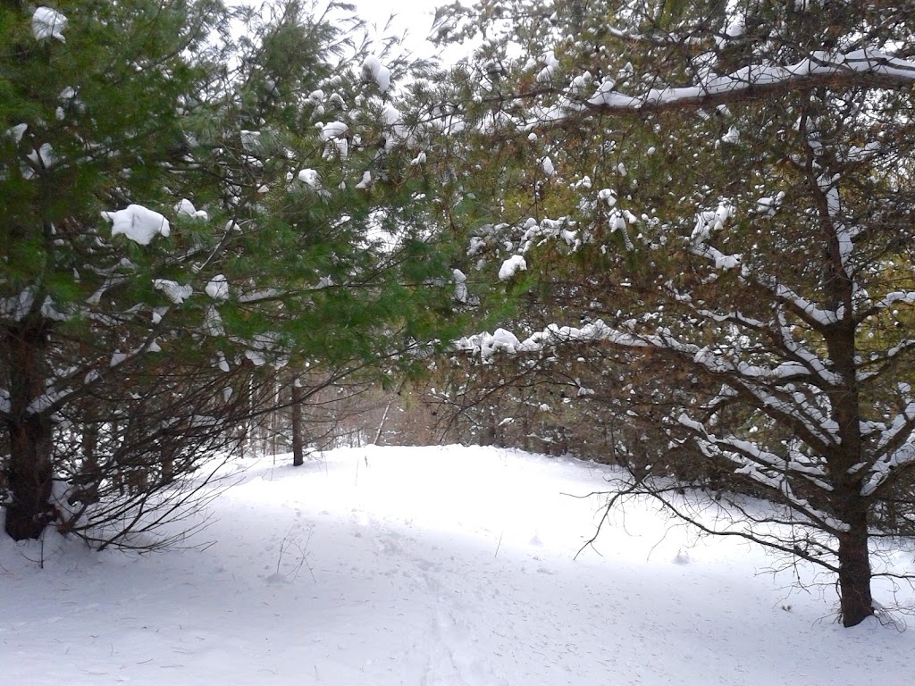 Domaine La Seigneurie de Lamoureux | rue Jasmine, Rang St Joseph, Sainte-Béatrix, QC J0K 1Y0, Canada | Phone: (514) 945-7456