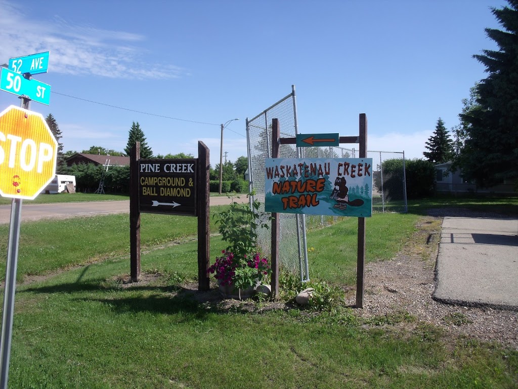 Anne Chorney Public Library | 5124 52 St, Waskatenau, AB T0A 3P0, Canada | Phone: (780) 358-2777