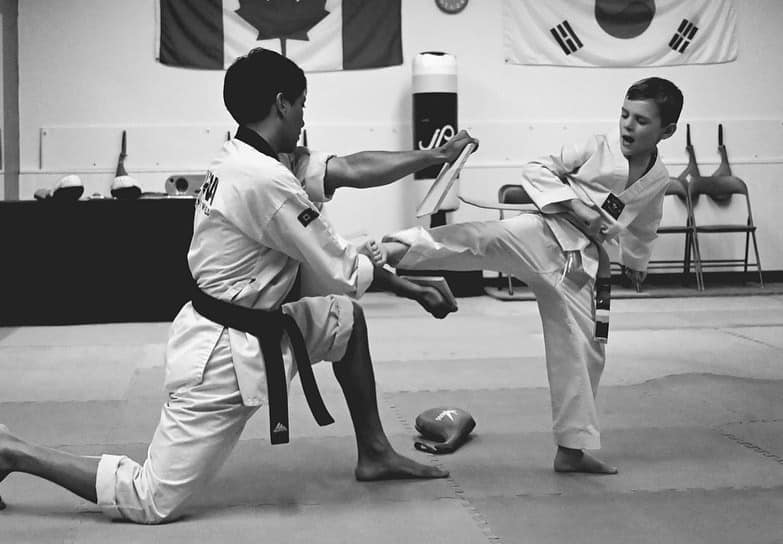 Alpha Martial Arts World | 110 Little Ave, Barrie, ON L4N 4K8, Canada | Phone: (416) 474-3840