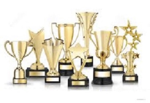 Designer Trophies | 718 Mary St S., Belmont Con 8, Havelock, ON K0L 1Z0, Canada | Phone: (705) 875-2119