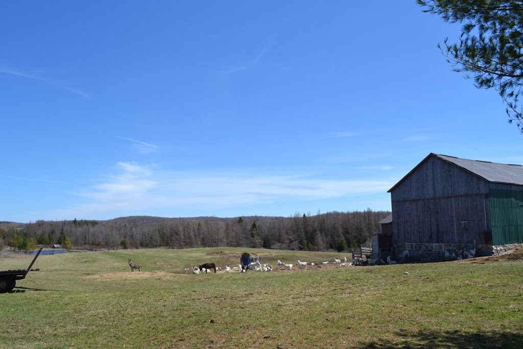 Lavender House Bed & Breakfast | 574401 Rd 57C, Singhampton, ON N0C 1M0, Canada | Phone: (705) 607-1410