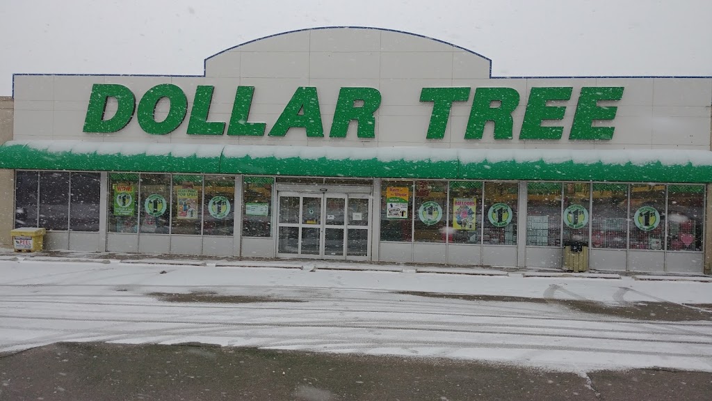 Dollar Tree | 280 Broadway #5, Orangeville, ON L9W 1L1, Canada | Phone: (519) 942-3779