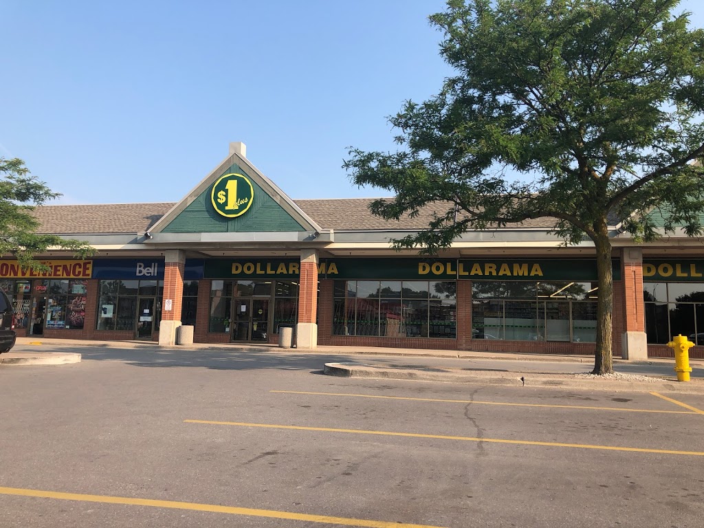 Dollarama | 36 Young St, Alliston, ON L9R 0E9, Canada | Phone: (705) 434-2049