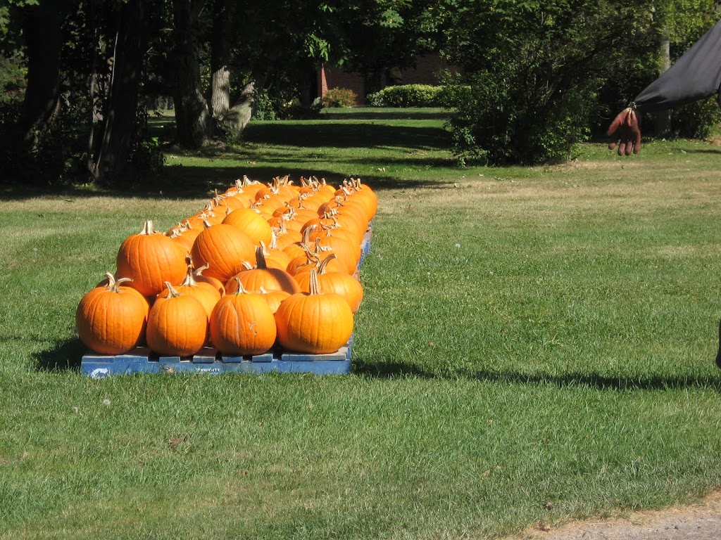 Jerome Brothers Potatoes Ltd | 14 Garner Rd E, Ancaster, ON L9G 2J8, Canada | Phone: (905) 648-6584