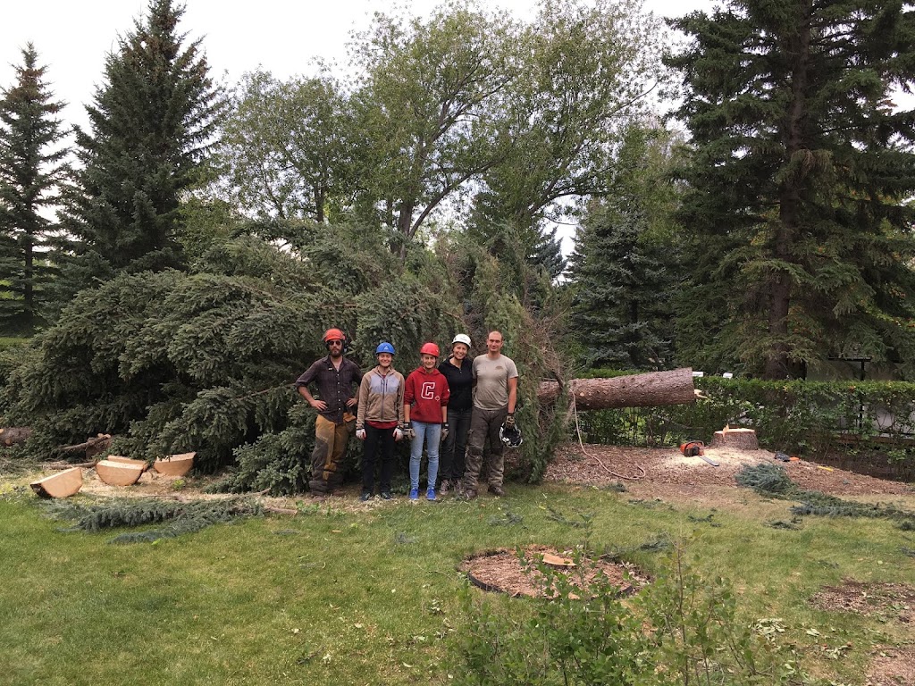 Bow Valley Tree Services | 304 Silvercreek Close NW, Calgary, AB T3B 4G5, Canada | Phone: (403) 286-4863