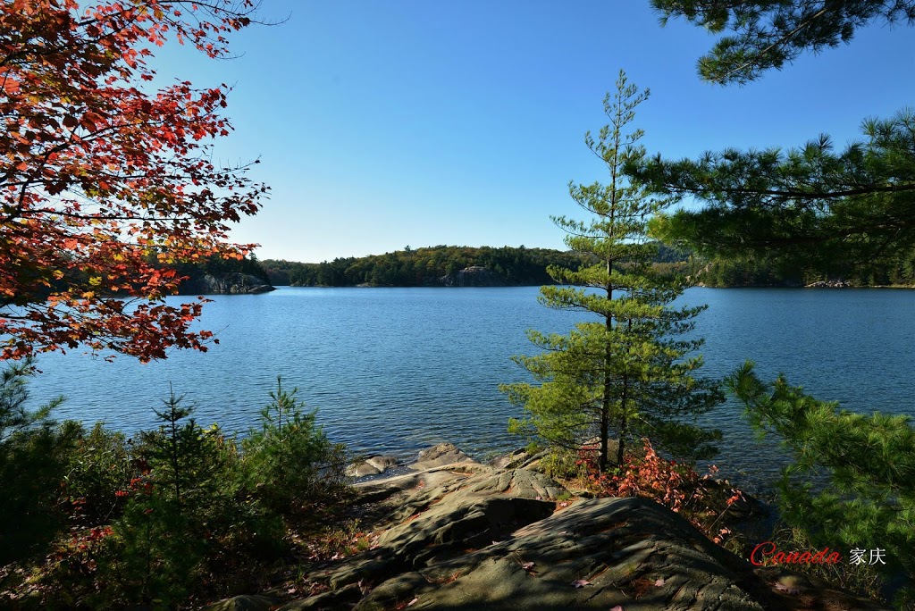 Cranberry Bog Trail | Killarney, ON P0M, Canada | Phone: (705) 287-2900