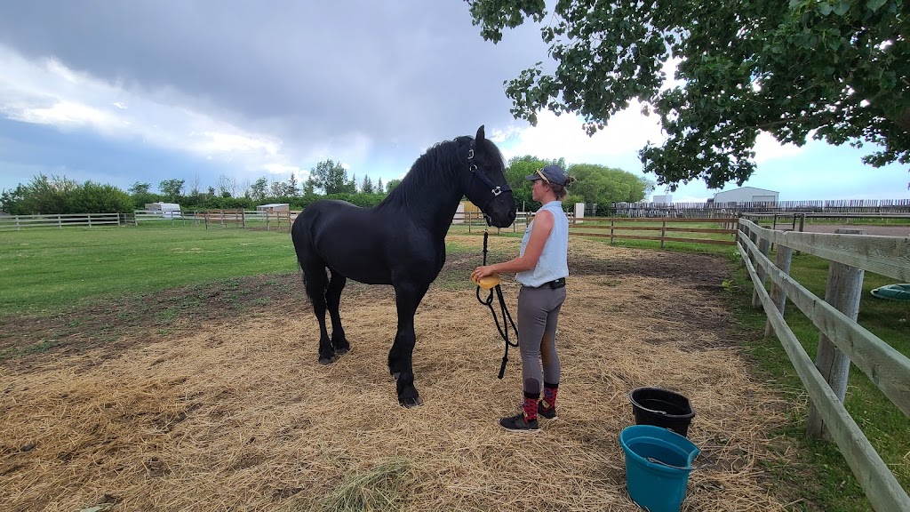 Country Hills Horse Boarding and Equestrian | RR6 Country Hills Blvd, Calgary, AB T2M 4L5, Canada | Phone: (403) 990-6340