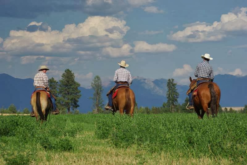 Three Bars Guest Ranch | Wycliffe Perry Creek Rd, Ta Ta Creek, BC V0B 2H0, Canada | Phone: (250) 426-5230