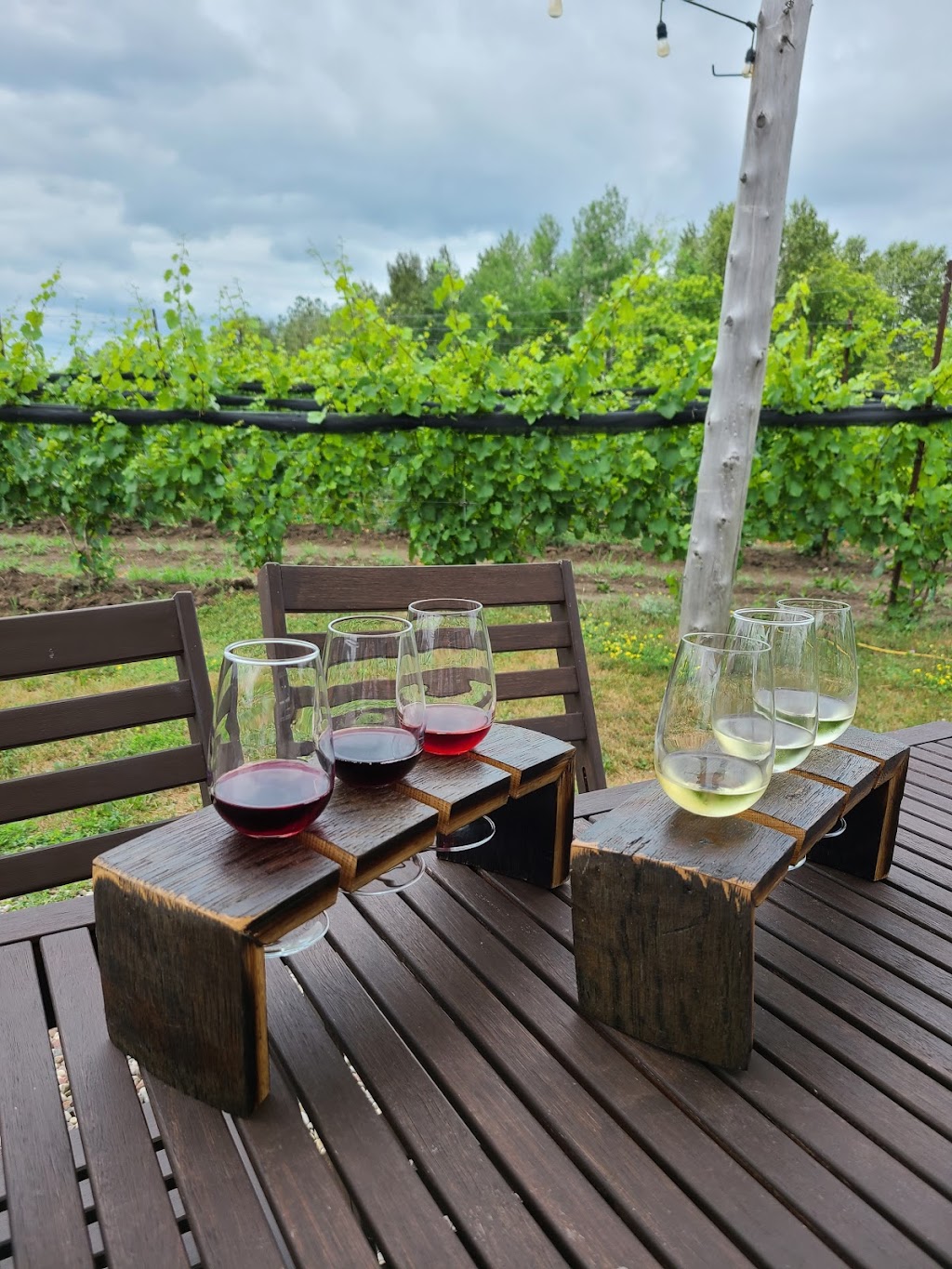 KIN Vineyards | 2225 Craigs Side Rd, Carp, ON K0A 1L0, Canada | Phone: (613) 519-1621