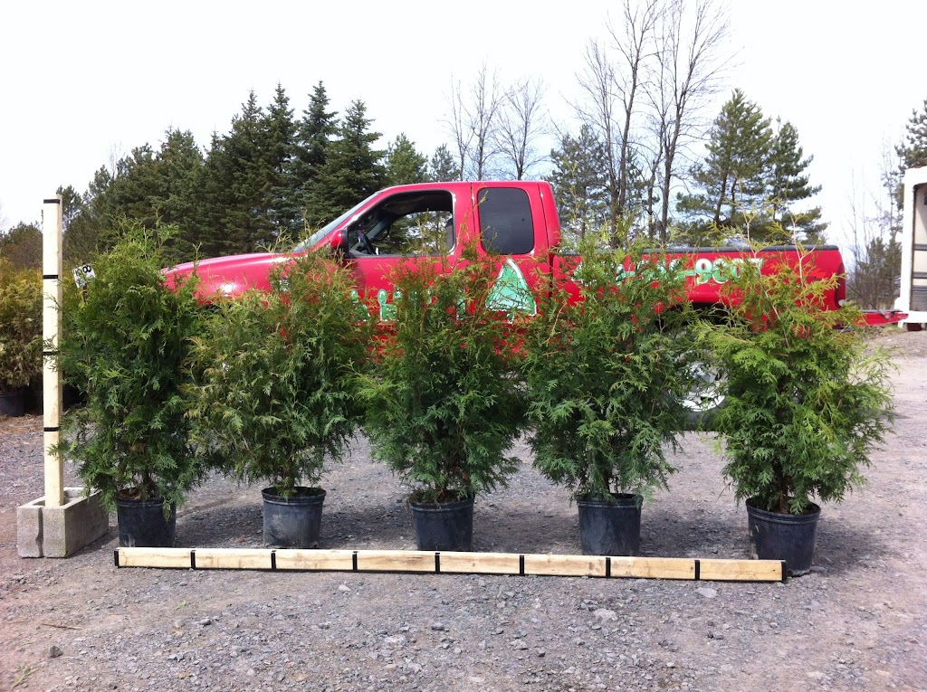 Les Cèdres Marali | 410 Chem. du Grand-Pré, Saint-Jean-sur-Richelieu, QC J2Y 1C9, Canada | Phone: (450) 545-9007