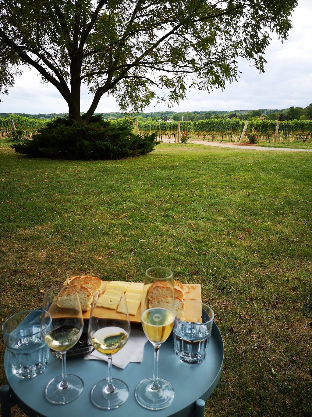 Kew Vineyards Estate Winery | 4696 King St, Beamsville, ON L0R 1B1, Canada | Phone: (905) 563-1539