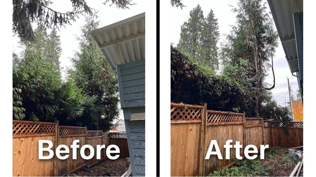 NZ Landscaping | 14854 95a Ave, Surrey, BC V3R 8A8, Canada | Phone: (778) 751-5270