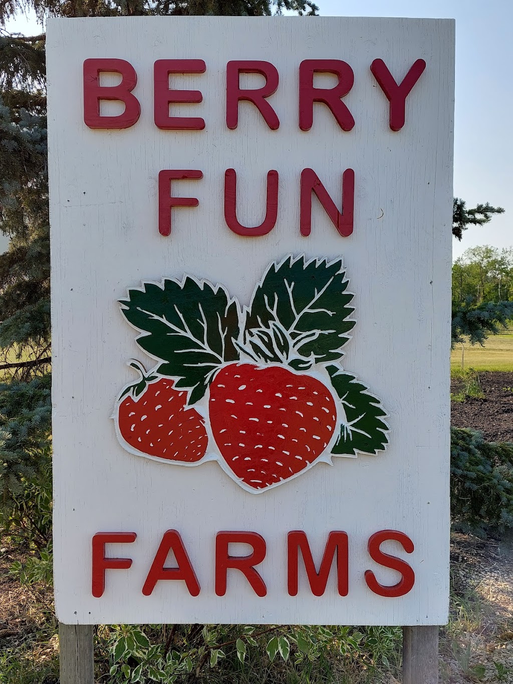 Berry Fun Farms | MB-424, Springstein, MB R0G 2N0, Canada | Phone: (204) 295-8175