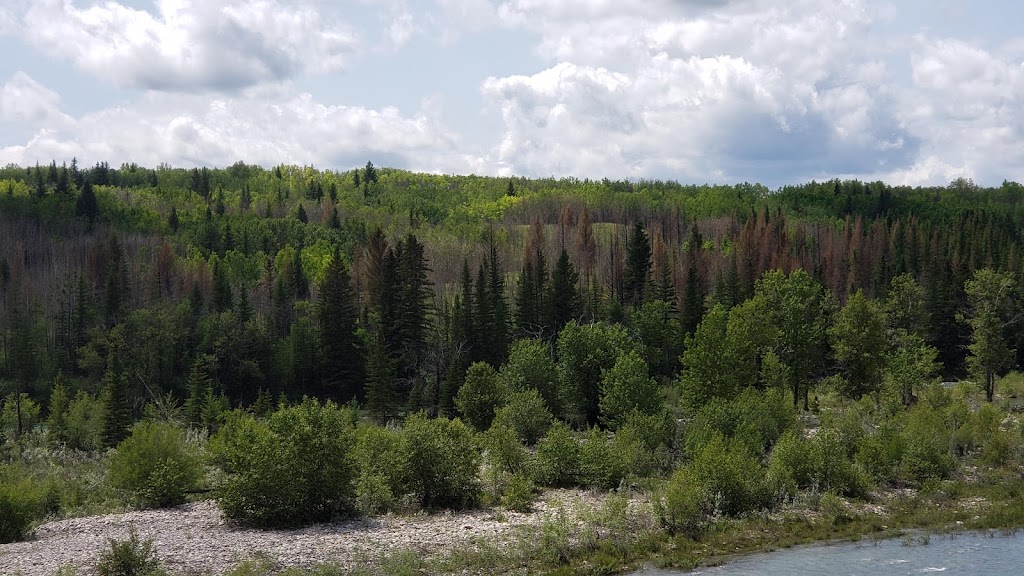 Wenger Ancestor Table and Bench | Glen Boles Trail, Cochrane, AB T4C 0C1, Canada | Phone: (403) 813-7351