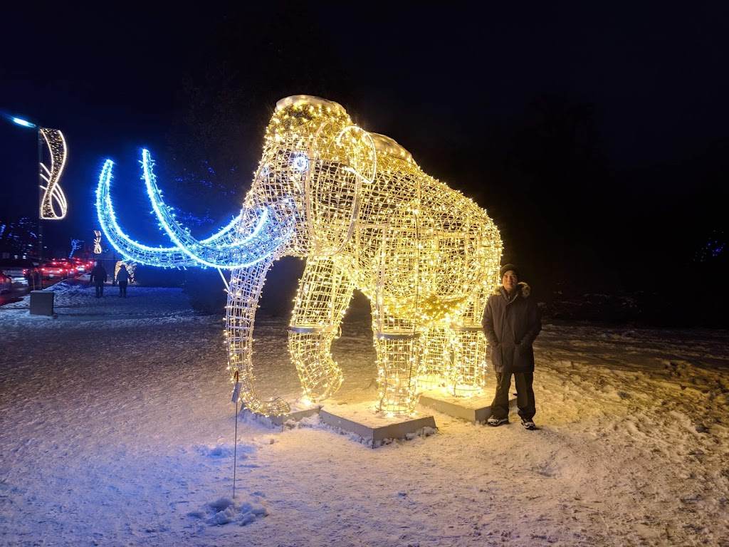 Winter Festival of Lights | 6345 Dufferin Isle Rd, Allanburg, ON L0S 1A0, Canada | Phone: (905) 356-6061
