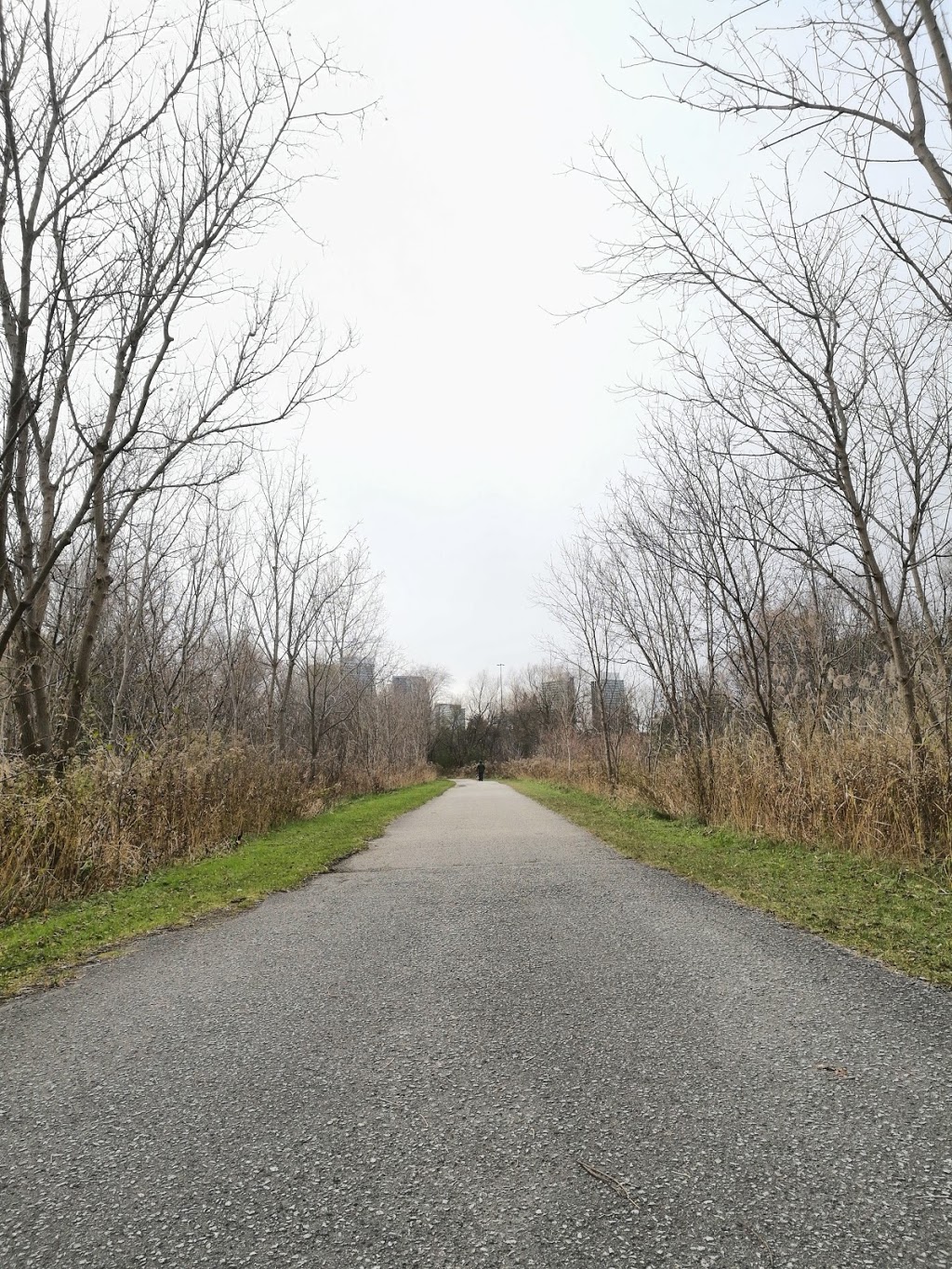 Betty Sutherland Trail Park | 250 Duncan Mill Rd, Toronto, ON M3A, Canada | Phone: (416) 338-4386
