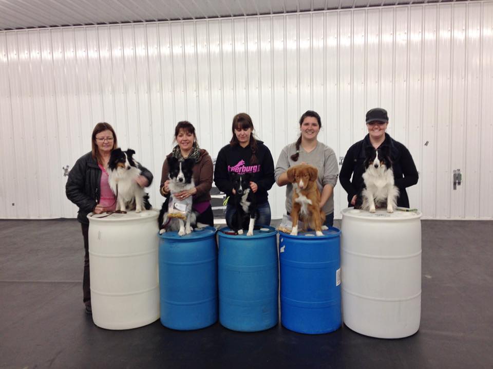 E&E Kennels | 12 Boulder Blvd, Stony Plain, AB T7Z 1V7, Canada | Phone: (780) 963-8173