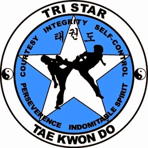 Tri Star Taekwondo | 245 McConnell St, Exeter, ON N0M 1S3, Canada | Phone: (519) 854-2448