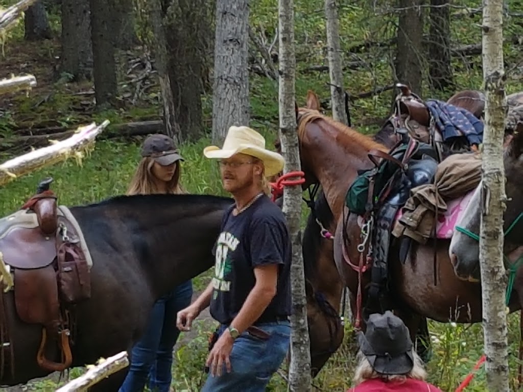 Natural Touch Equine Farm | Range Rd 245, Wheatland County, AB T0J 2R0, Canada | Phone: (403) 901-8117